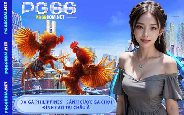 Đá Gà Philippines - Sảnh Cược Gà Chọi Đỉnh Cao Tại Châu Á